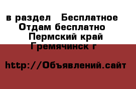 в раздел : Бесплатное » Отдам бесплатно . Пермский край,Гремячинск г.
